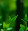AI agents automating repetitive tasks in a business setting.